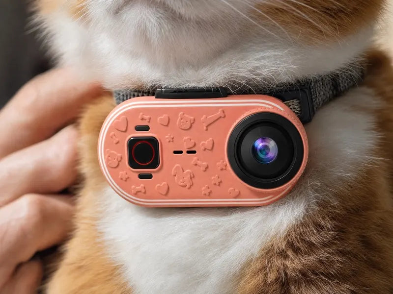 A hand clipping the camera onto a golden retriever's collar